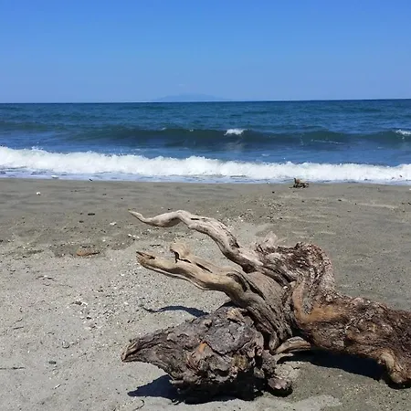 Mobil-home Dans Lotissement Tres Tranquille 3* Vescovato