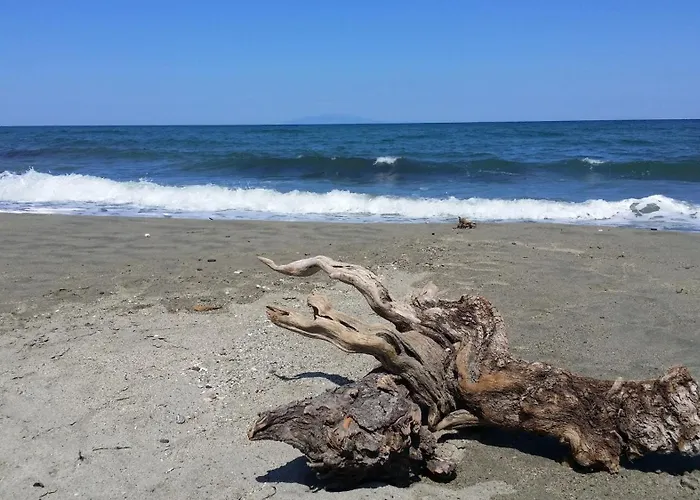 Mobil-home Dans Lotissement Tres Tranquille 3* Vescovato